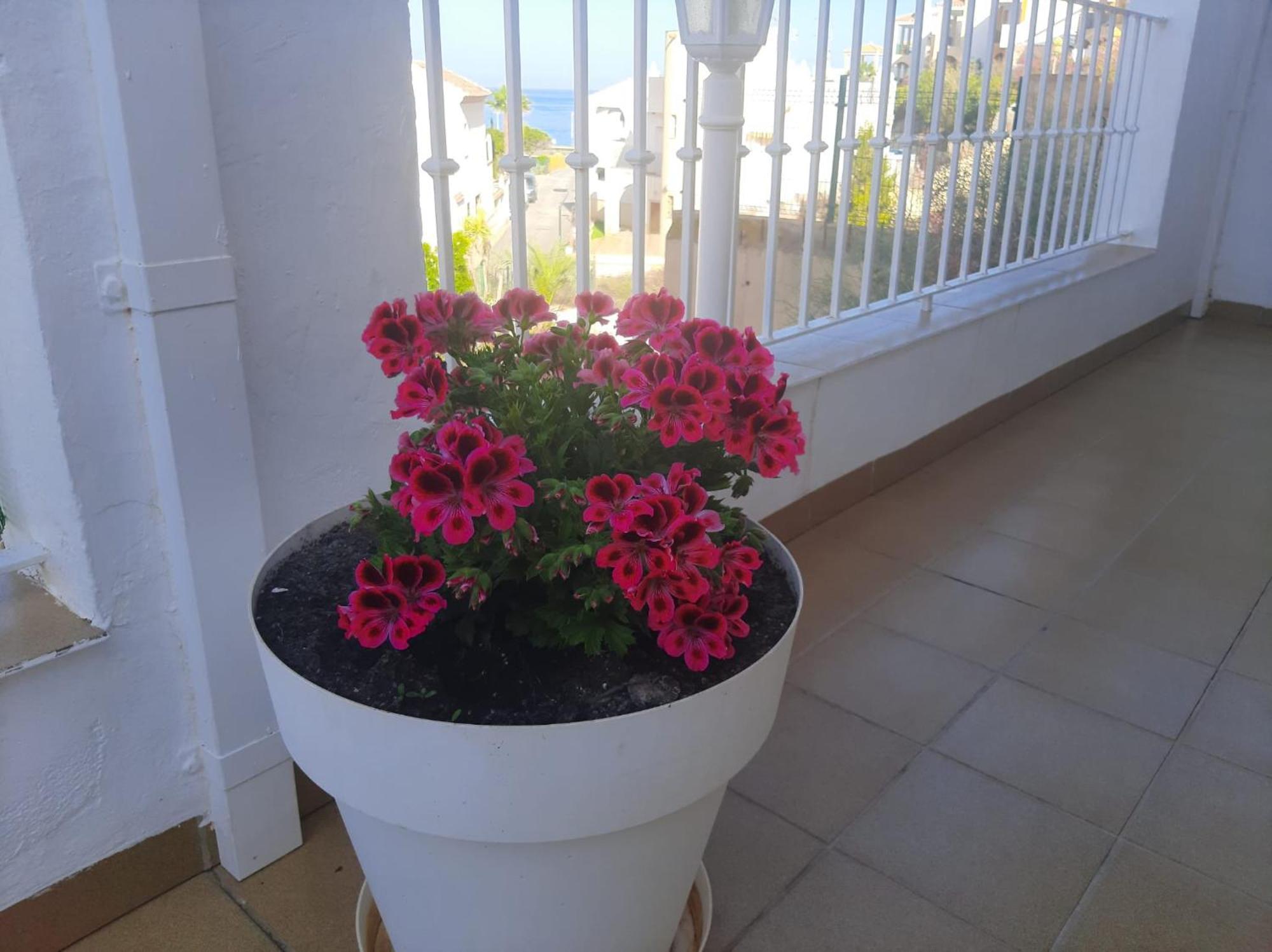 Casa independiente en San de los Terreros Con estupenda terraza, a dos minutos a pie de las playas Mar Serena y Calipso San Juan de los Terreros Exterior foto