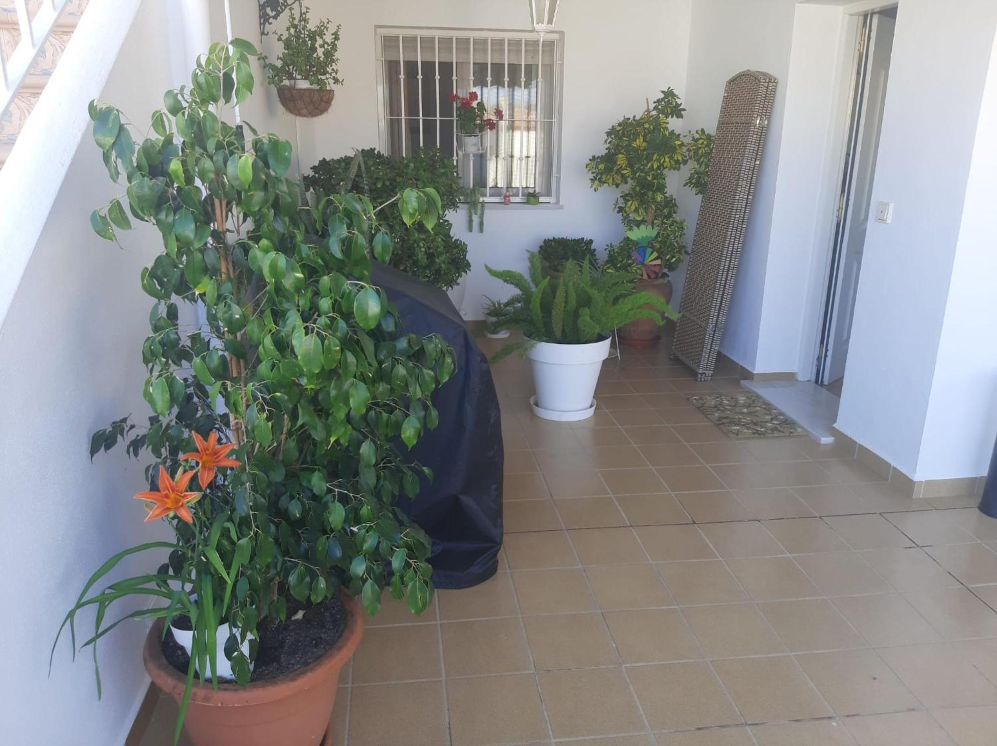 Casa independiente en San de los Terreros Con estupenda terraza, a dos minutos a pie de las playas Mar Serena y Calipso San Juan de los Terreros Exterior foto